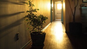 A narrow hallway with a potted plant, a framed picture on the wall, and a door at the end. - Classic Venice Beach Bungalow (Los Angeles)