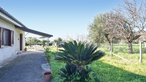 Una casa amb terrassa coberta, un jardí petit amb una palmera i una zona tancada amb arbres.