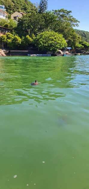 Imagen sin descripción, 2 de 40, botón