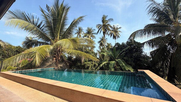 A rectangular swimming pool with clear blue water, surrounded by palm trees and other tropical vegetation. - Quiet family-friendly villa in the city center (Chang Wat Surat Thani)