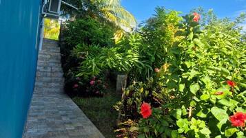 Jardines del alojamiento