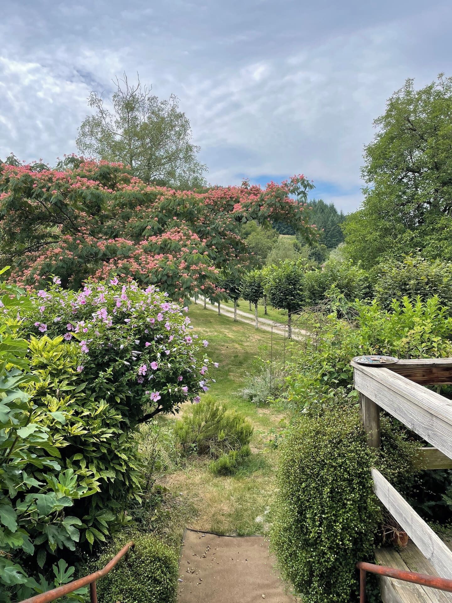 Enceinte de l’hébergement