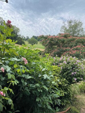 Immagine non classificata, 2 di 39, pulsante