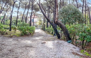 A gravel path leading to a building surrounded by trees and shrubs.