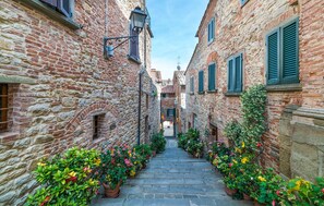 A narrow stone alley with brick buildings, green shutters, and potted plants along the path. - Cozy home in Lucignano (Lucignano)