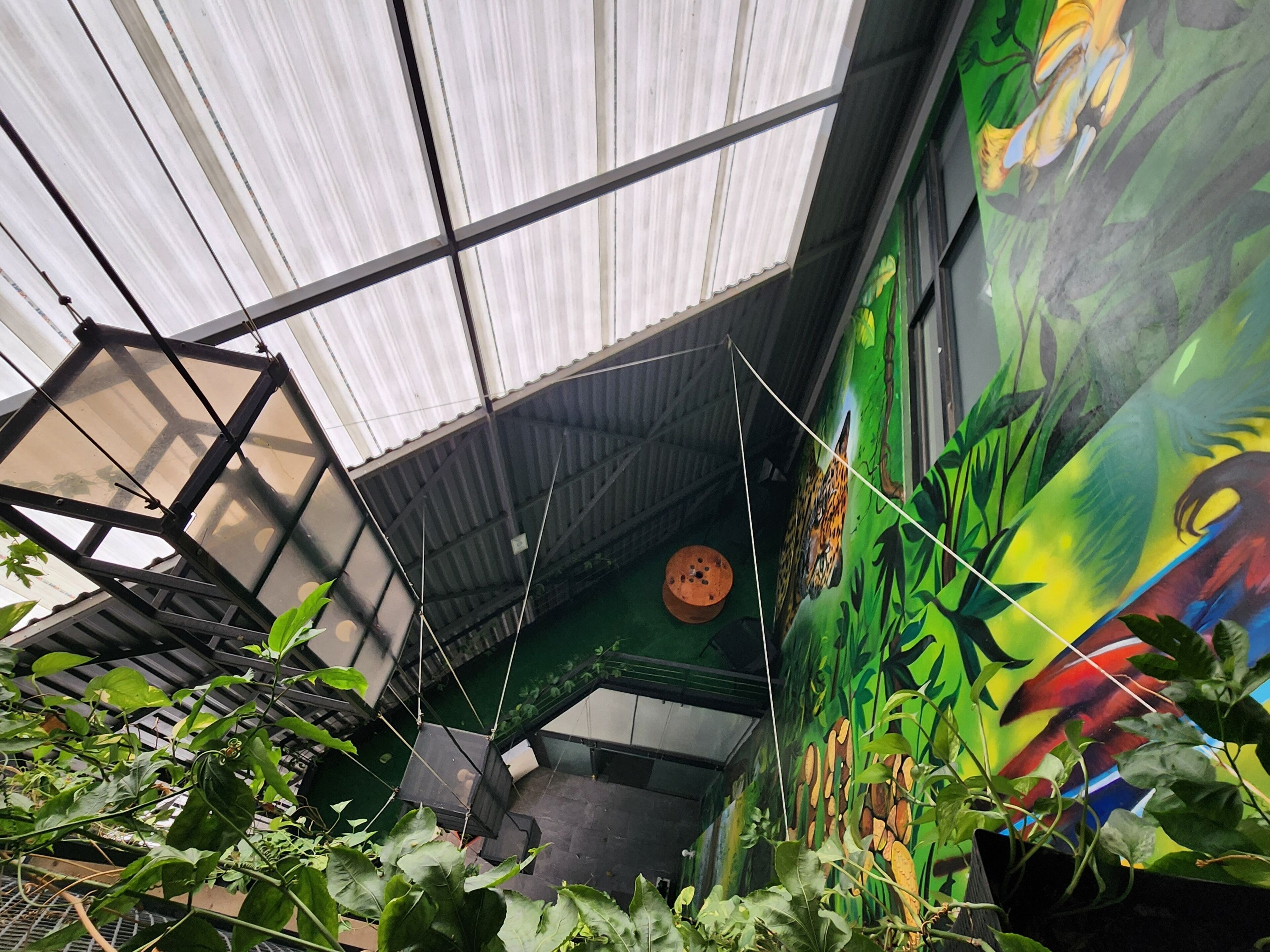 A room with a sloped ceiling, a mural with a tiger and foliage, and hanging plants.