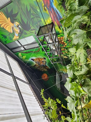 Botón de imagen sin clasificar, 3 de 63