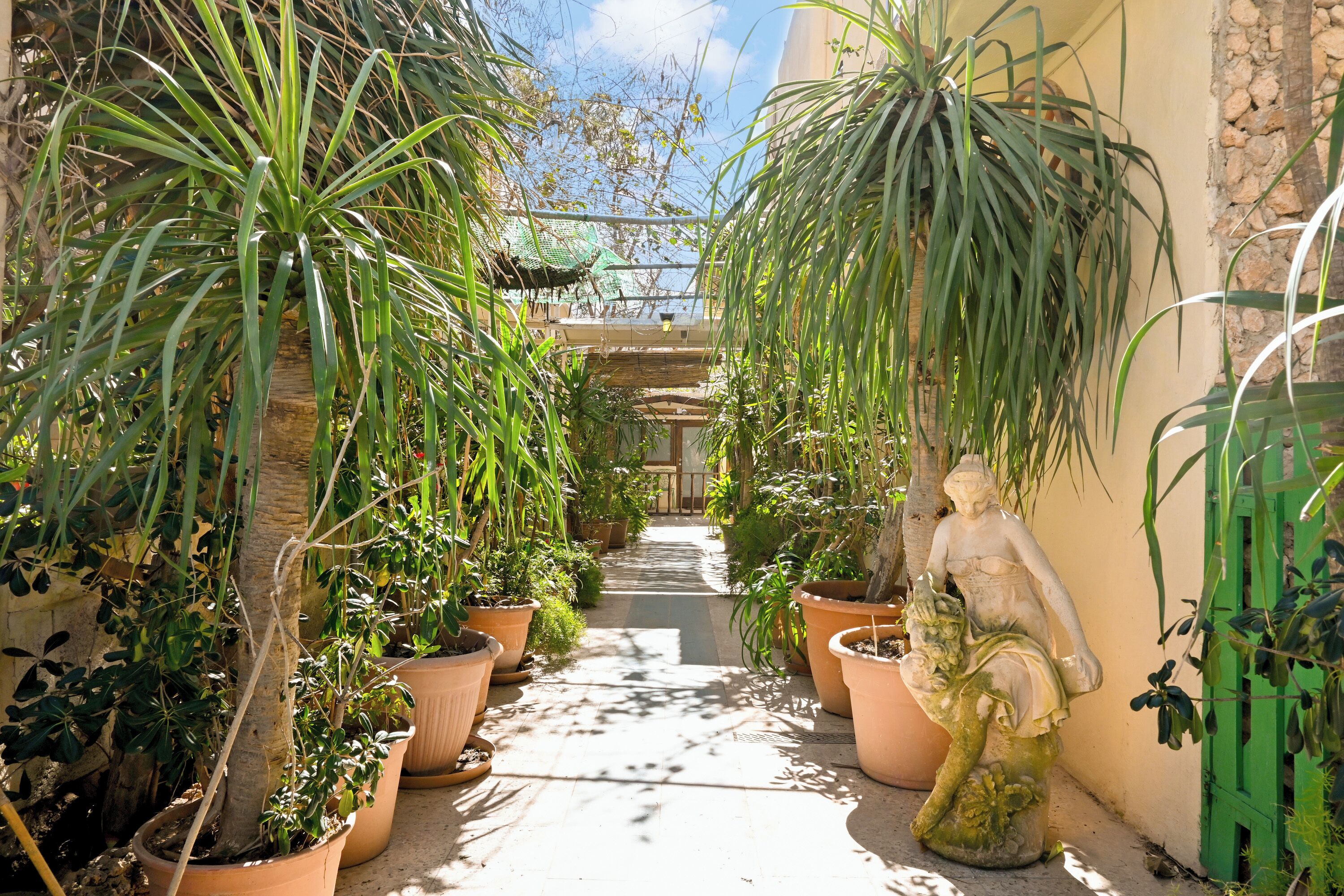 A narrow pathway flanked by potted plants and a statue, leading to a building with a green roof.