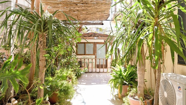 Un patio con plantas en macetas, un abanico y un edificio con balcón.
