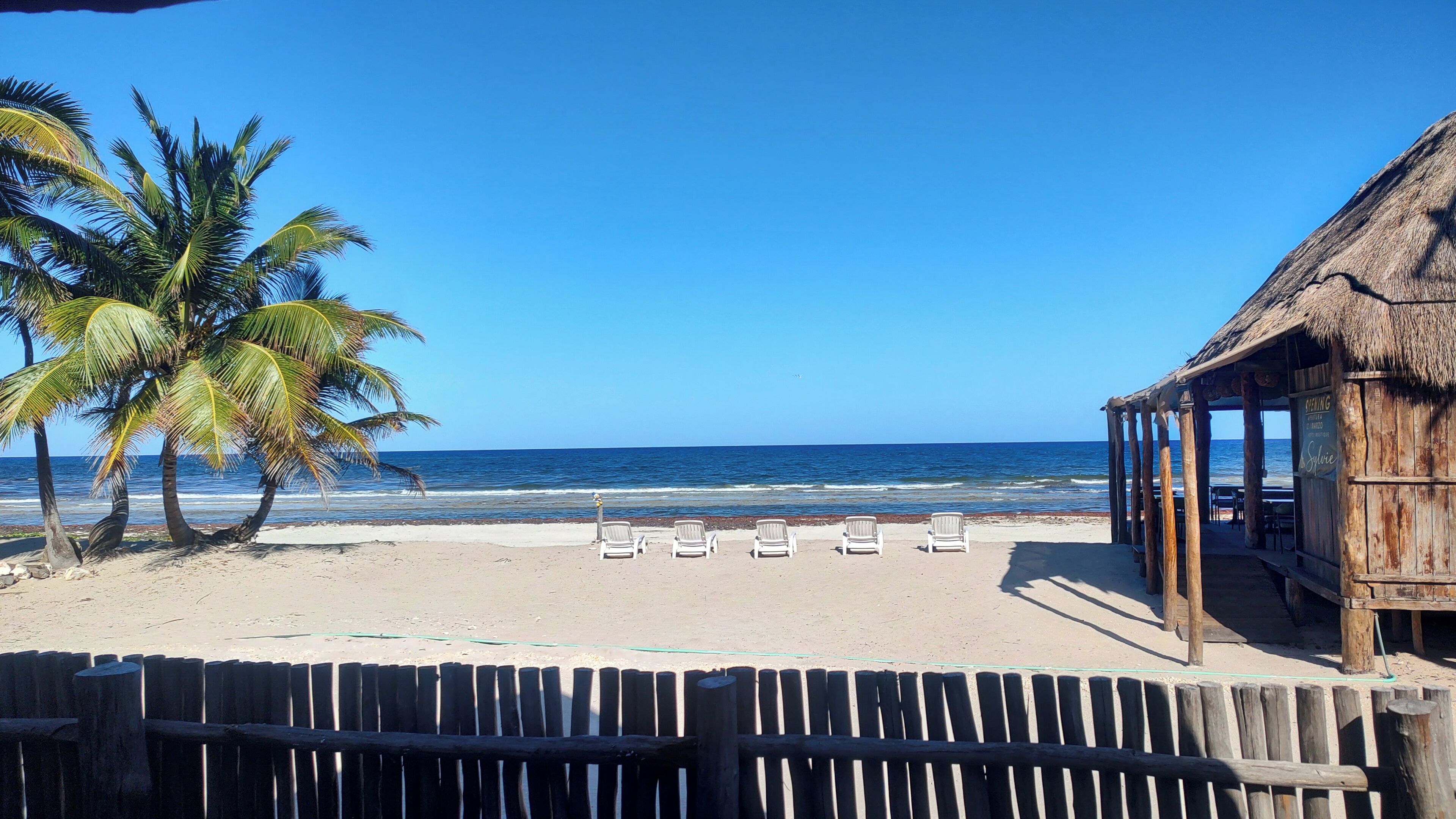 Una playa con palmeras, una cabaña de madera y sillas de descanso.