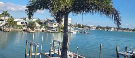 A waterfront property with a dock, a palm tree, and a clear blue sky.