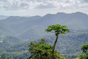 Nicht klassifiziertes Bild, 3 von 12, Schaltfläche