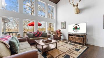 TV connectée, cheminée