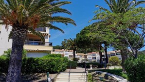 Een resort met palmbomen, een zwembad en een gebouw met balkons.