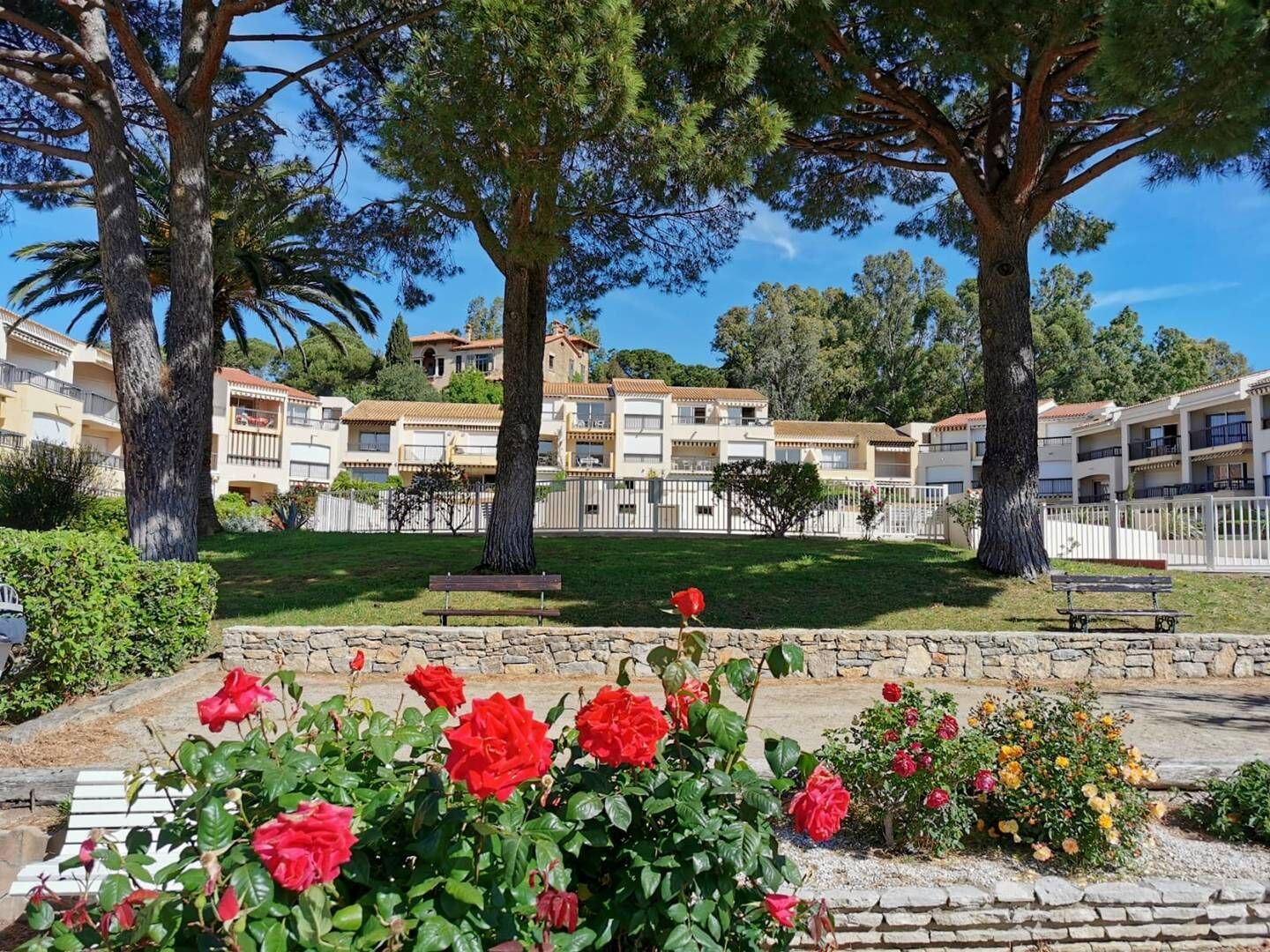 A residential area with apartment buildings, a grassy lawn, and flowering plants.