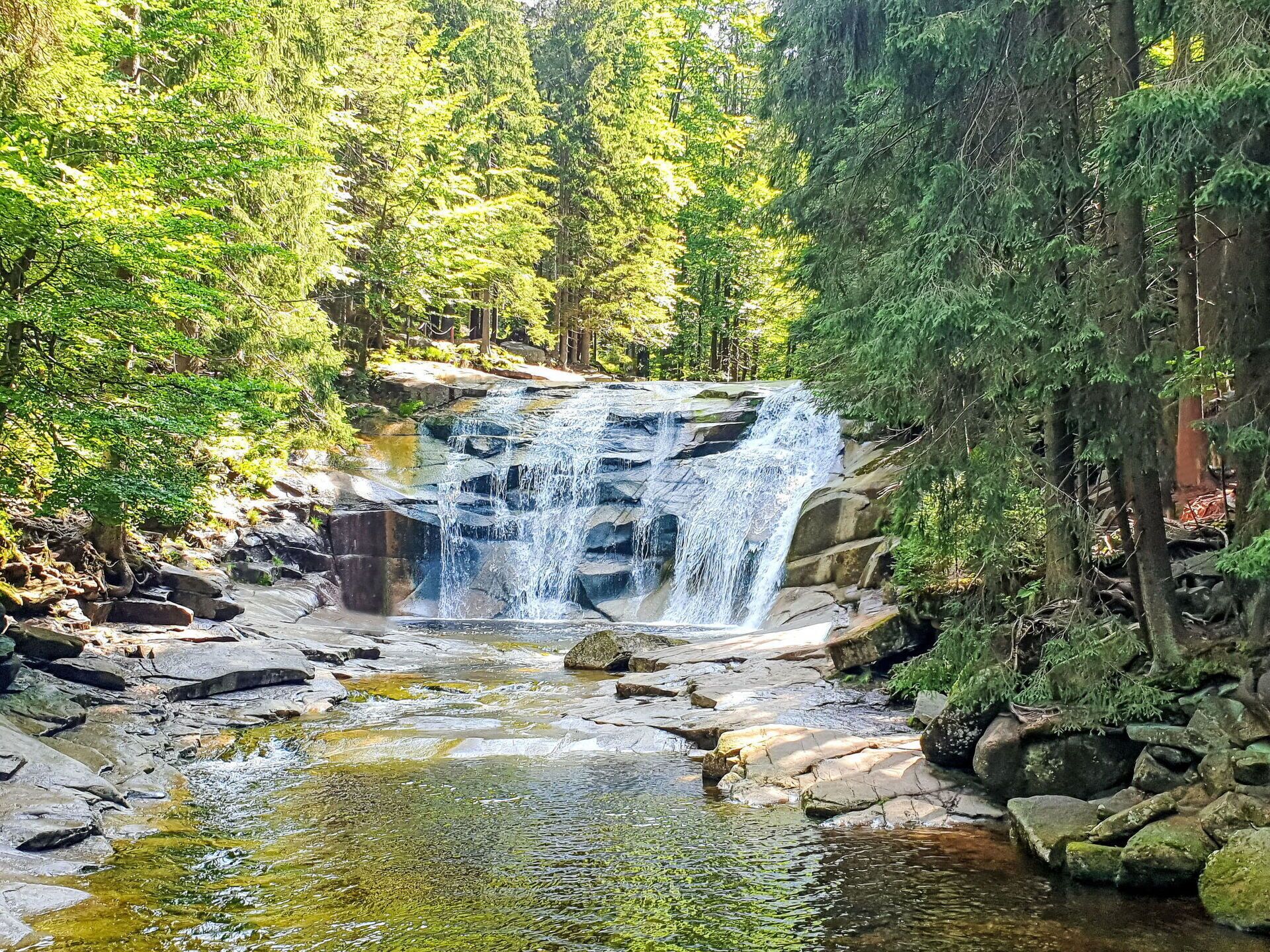 A waterfall in a forested area with clear water and rocky terrain.