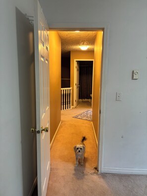 Interior - Lakeview Home  with two balconies  lots of space for family, fun and adventure (Langford)