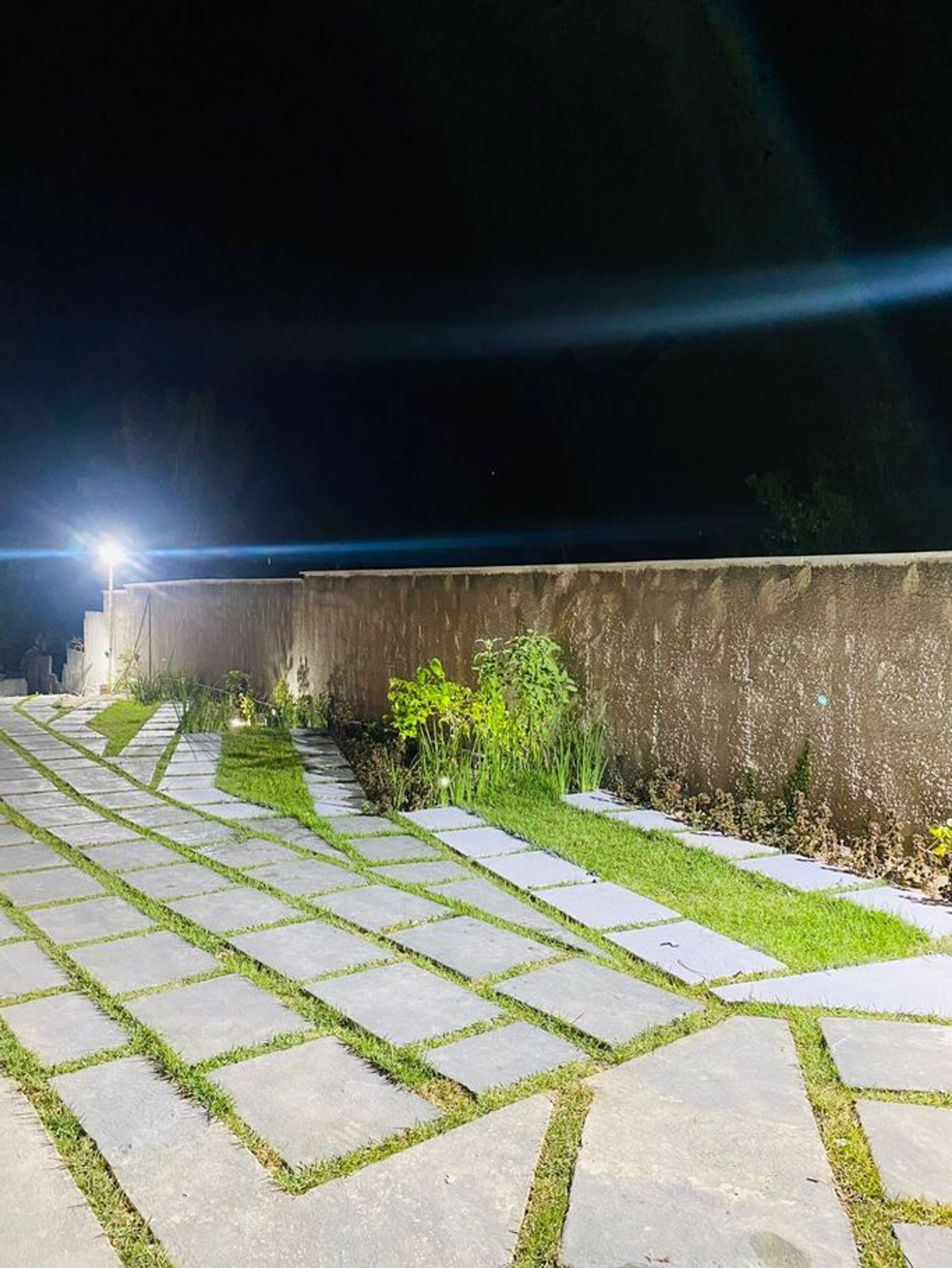 A paved outdoor area with a stone pathway and a low wall.