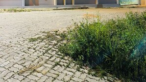 Un edificio moderno con techo plano y un área de entrada pavimentada.