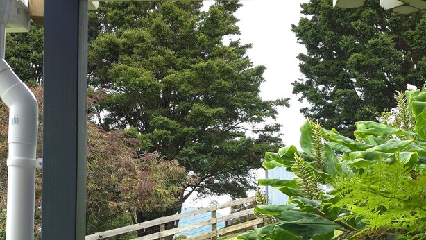 A covered outdoor area with a stone staircase leading to a grassy lawn. - Safe Haven Hillside Retreat (Maungatapere)