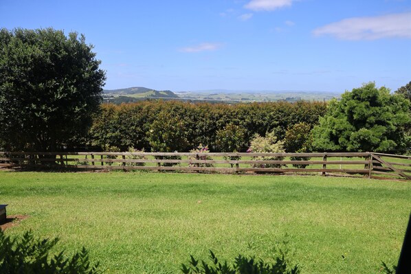 Niet-geclassificeerde afbeelding, 1 van 21, knop