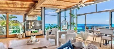 Télévision, cheminée, espaces bureaux