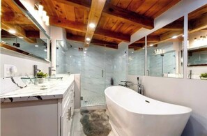 Shower, hair dryer, shampoo - Breathtaking Sunset Villa+Guesthouse+2 hot tubs (San Diego)