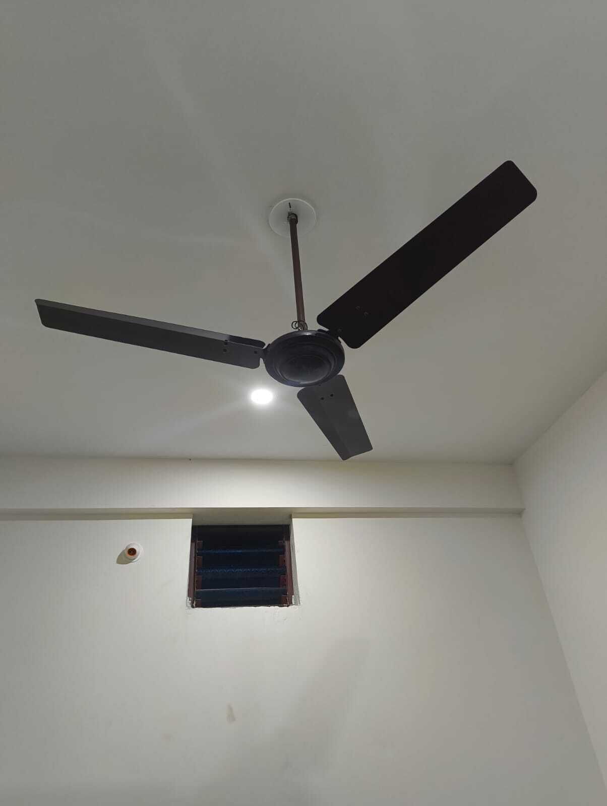 Economy-værelse - 1 queensize-seng - privat badeværelse - stueetage | Diverse