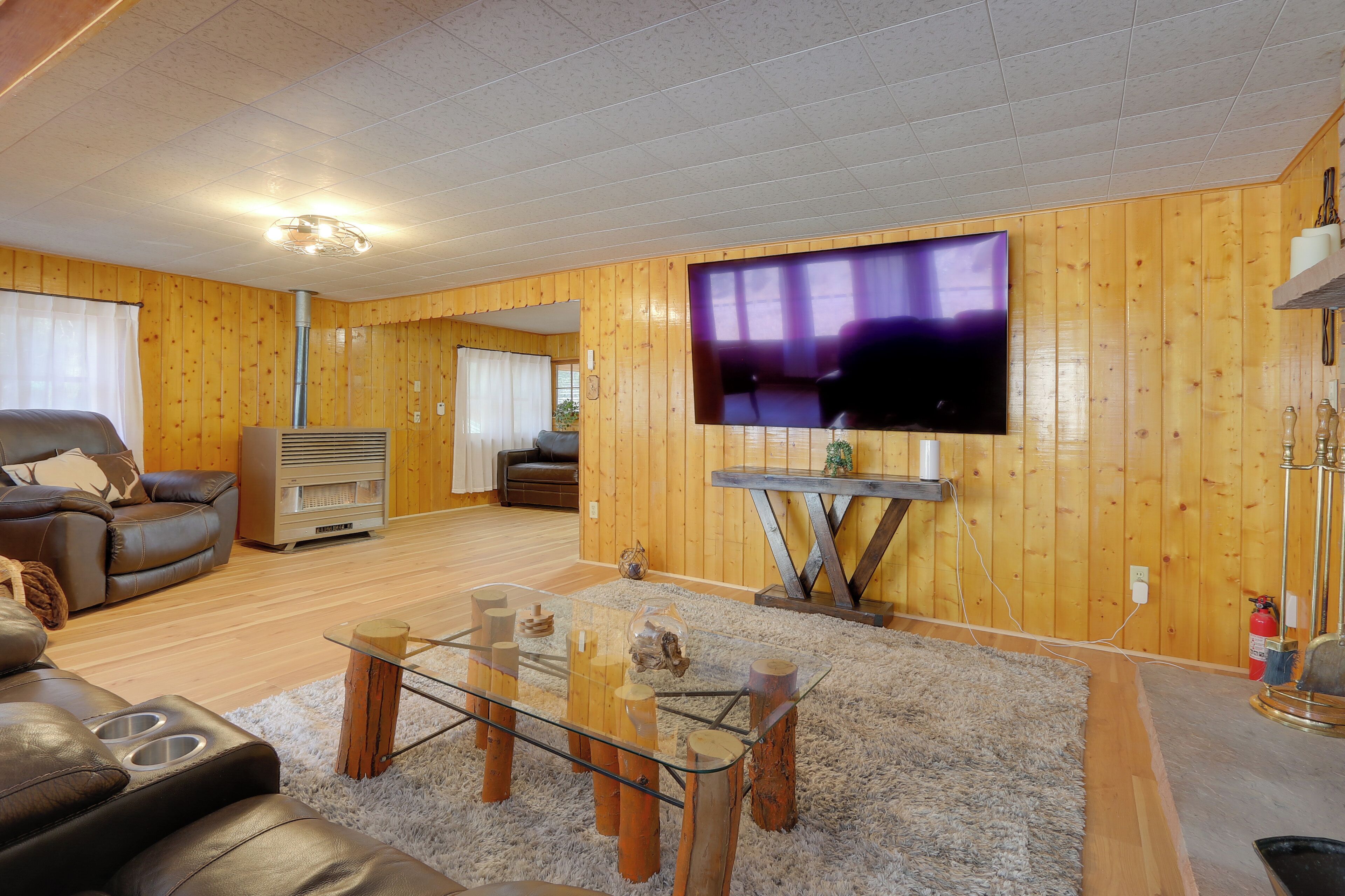 TV, fireplace, books