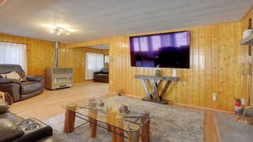 TV, fireplace, books