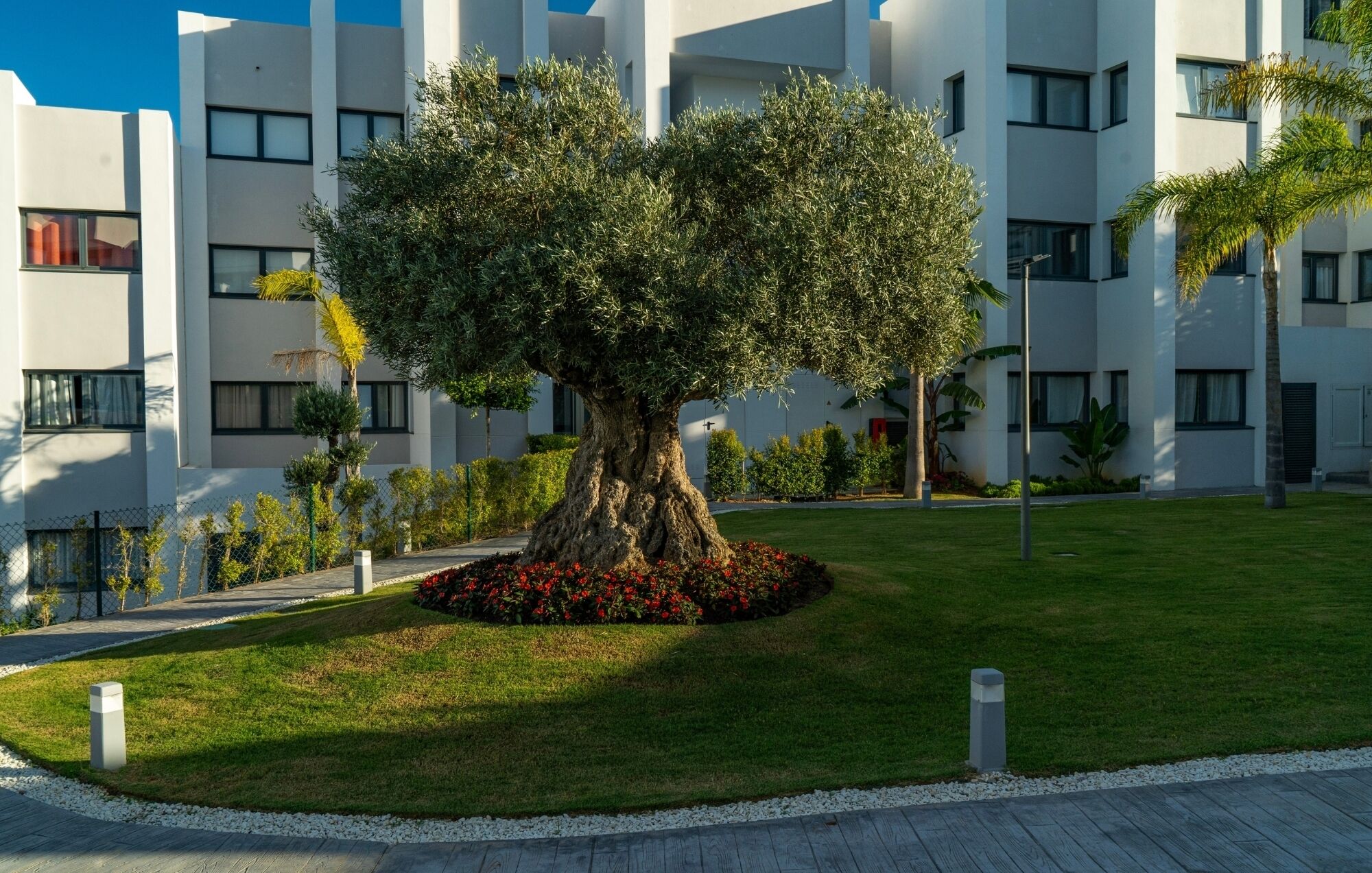 A modern building with a large tree in the center, surrounded by a well-maintained lawn and a gravel path.