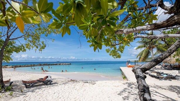 A beach with white sand, clear blue water, and a few people swimming. There are lounge chairs and a thatched-roof structure in the background. - Luxurious Apartment in Jan Thiel with Pool (Jan Thiel)