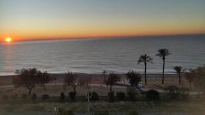 Una playa con palmeras y un atardecer.