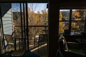 Interior - 1BR Premium Condo | Central Breckenridge Location (Breckenridge)