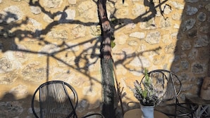 Un mur de pierre avec une branche d’arbre qui s’étend au-dessus d’un espace aménagé pour s’asseoir. On y trouve deux chaises et une table sur laquelle est posée une plante en pot.