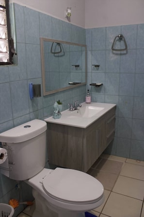 A bathroom with a toilet, sink, and mirror.