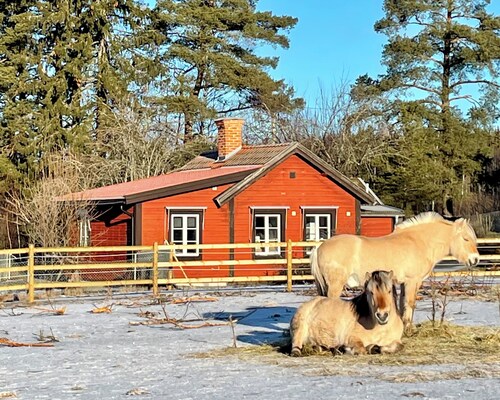 Valstabacken -charming countryside cottage in peaceful Swedish nature