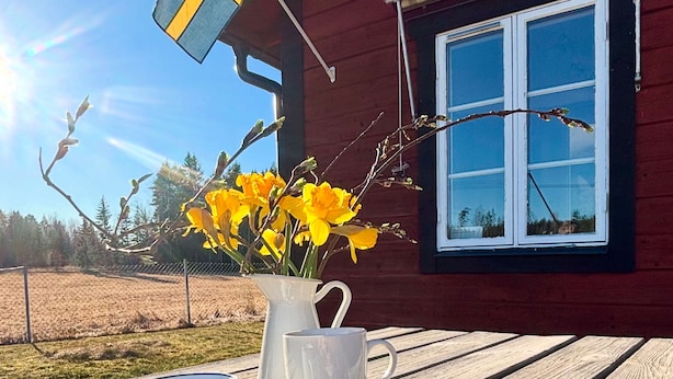 A wooden table with a blue plate holding two pastries, a white mug, and a flag. - Valstabacken -charming countryside cottage in peaceful Swedish nature (Möklinta)
