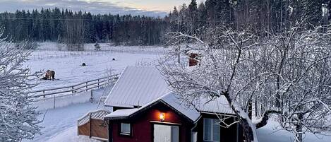 المنشأة من الخارج