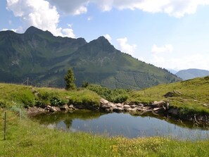 Photo non classée, 5 sur 27, bouton