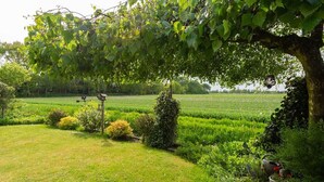 A garden with a large tree, a birdhouse, and a potted plant. - Forest cottage by the sea (Sint Maartensvlotbrug)
