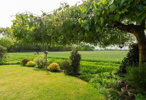 Un jardin avec un grand arbre, une mangeoire à oiseaux et une plante en pot.