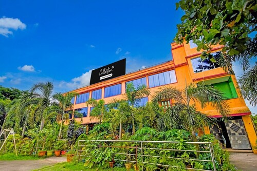 Collection O Zoological Park