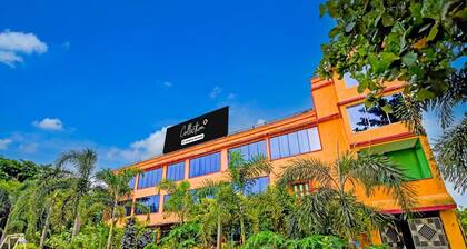 Collection O Zoological Park