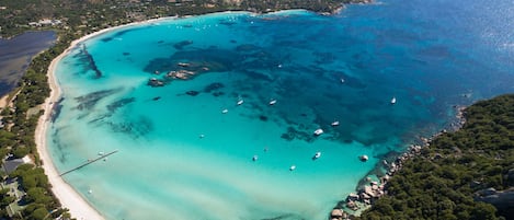 在海灘附近