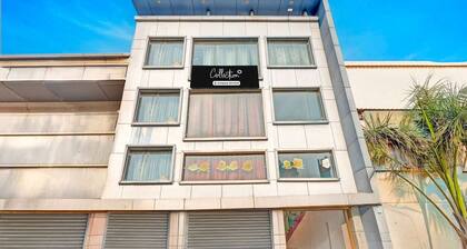 Collection O Kanode Gate