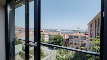 A view from a balcony with a clear sky, buildings, and a distant cruise ship.