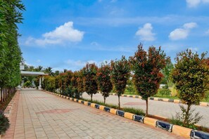 Botón de imagen sin clasificar, 5 de 30