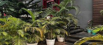 Townhouse Swain Heritage