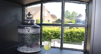 Wohnung in den Niederlanden Natur Nähe